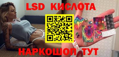 стафф Кандалакша