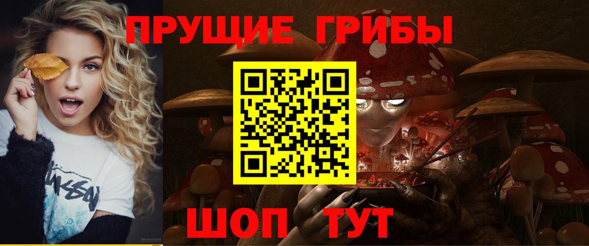 Псилоцибиновые грибы Psilocybe Кунгур