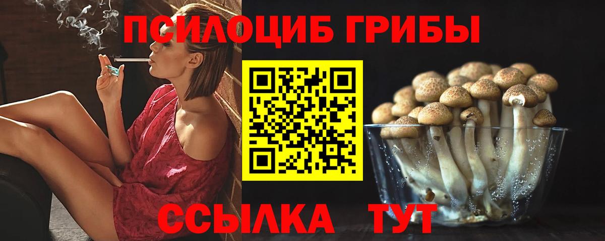 Псилоцибиновые грибы мухоморы  где купить наркотик  Галлюциногенные грибы мухоморы  Кунгур  Вход с VPN 